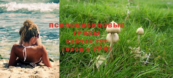 COCAINE Вяземский