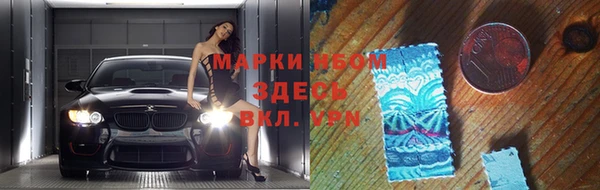 индика Покров