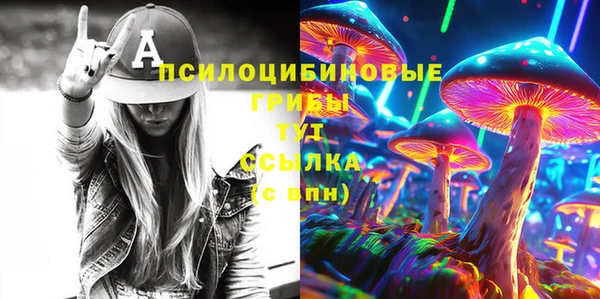 индика Покров