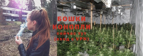 PSILOCYBIN Вязники