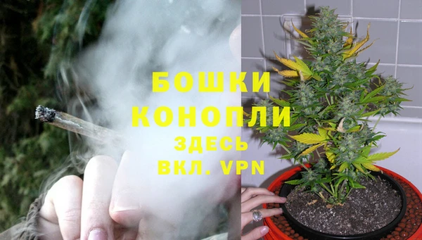 spice Беломорск