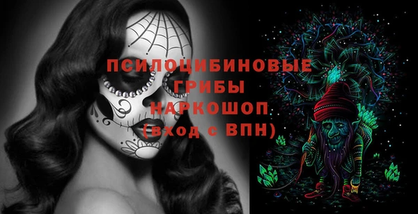 индика Покров