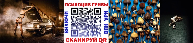даркнет сайт  Тогучин  Псилоцибиновые грибы Magic Shrooms 